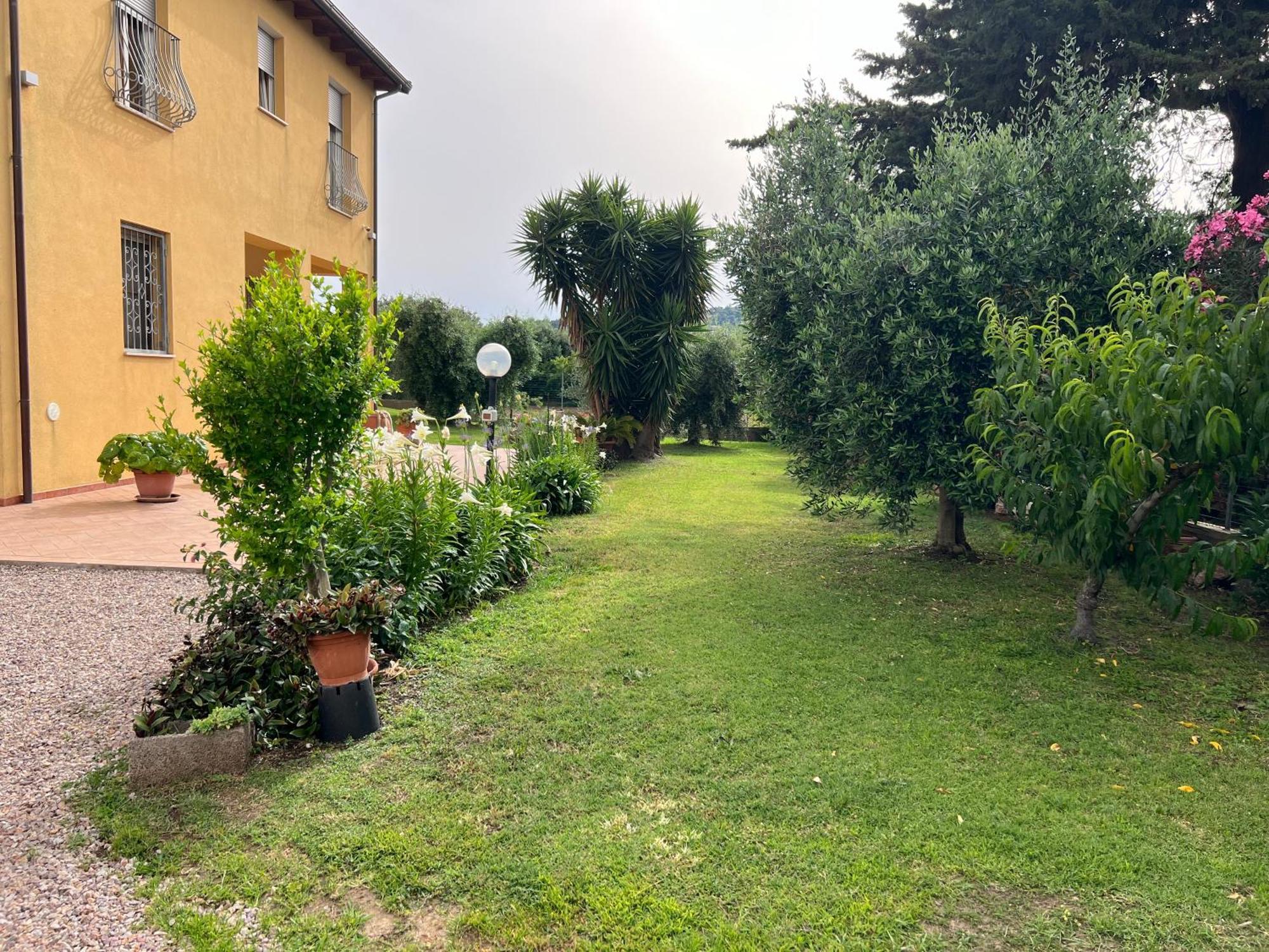 Agriturismo Il Giardino Degli Olivi Appartamenti カスティリオーネ・デッラ・ペスカーイア エクステリア 写真