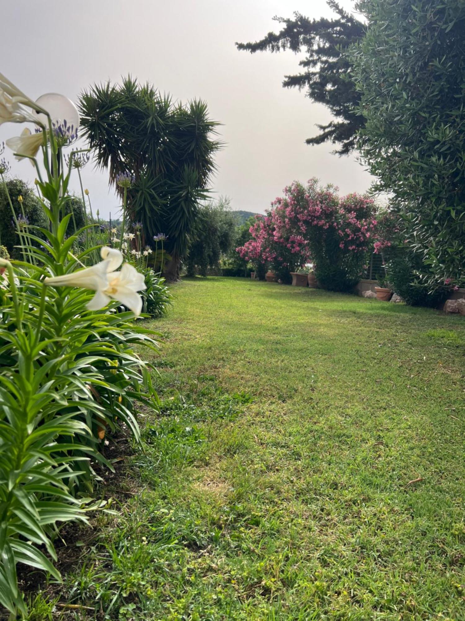 Agriturismo Il Giardino Degli Olivi Appartamenti カスティリオーネ・デッラ・ペスカーイア エクステリア 写真