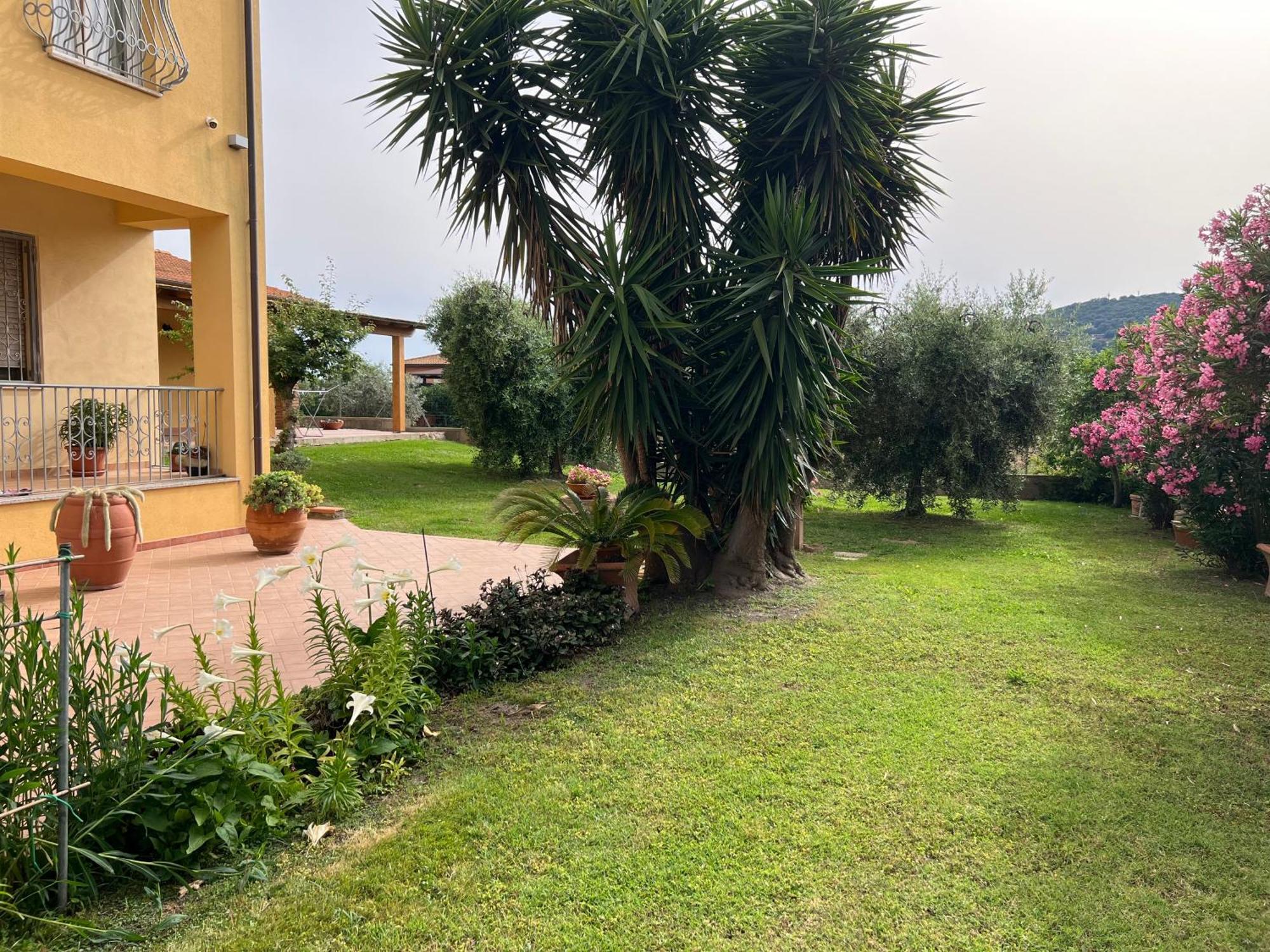 Agriturismo Il Giardino Degli Olivi Appartamenti カスティリオーネ・デッラ・ペスカーイア エクステリア 写真